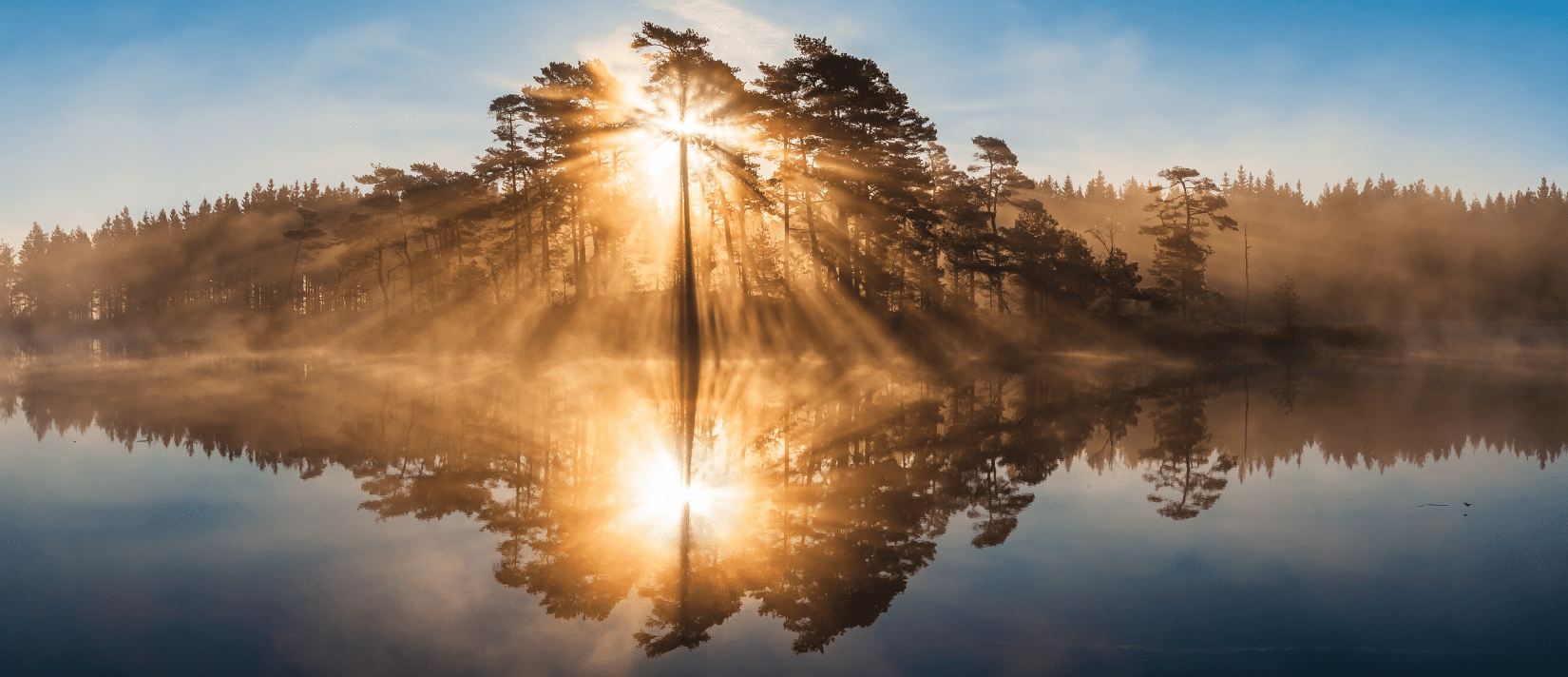 Sunrise through trees reflecting on lake.