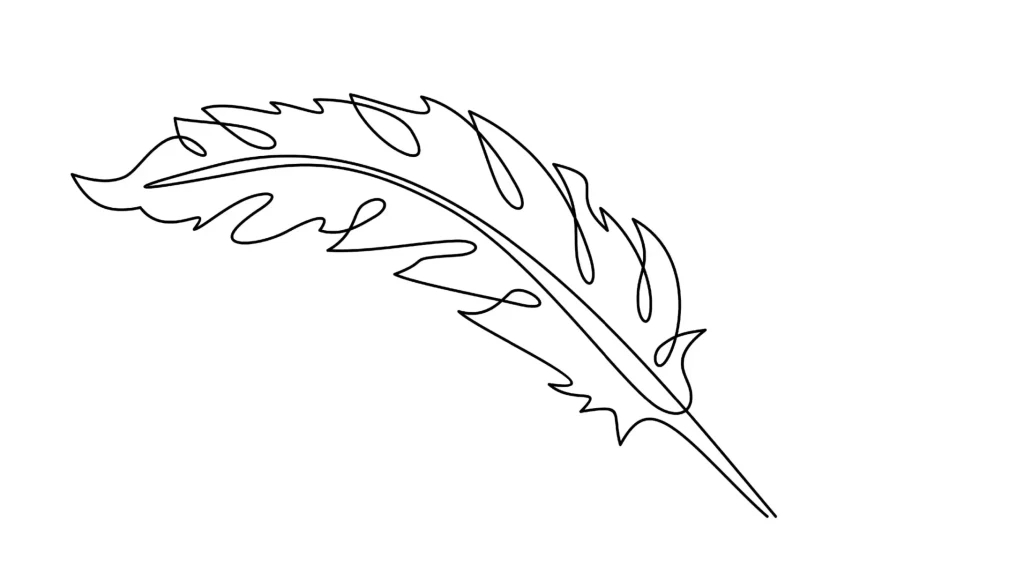 A drawing of a leaf on a white background